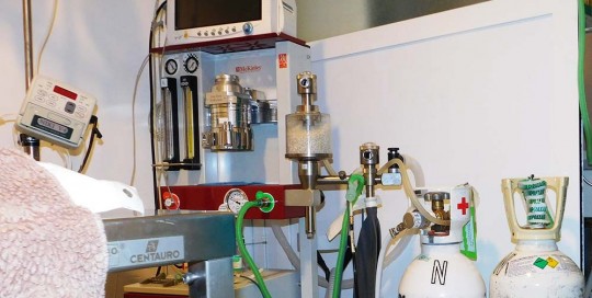 Quirófano - Clínica Veterinaria El Molinar