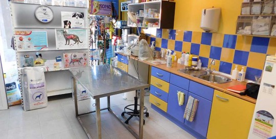 Behandlungsraum - Tierklinik El Molinar