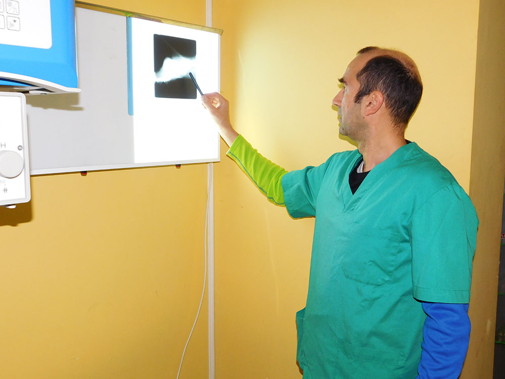 Dienstleistungen von Tierklinik El Molinar